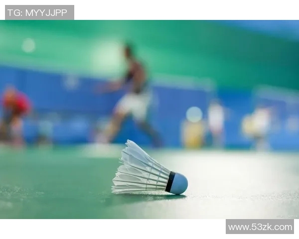 羽毛球场上的奋斗与梦想刘秀英的深度对话与人生启示 羽毛球场上的奋斗与梦想刘秀英的深度对话与人生启示